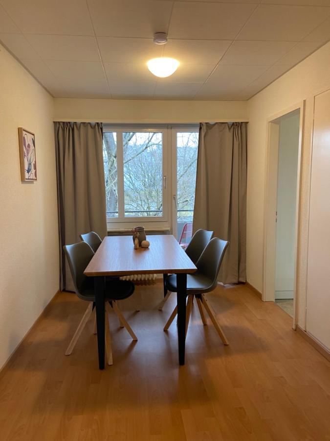 Comfort 1 And 2Bdr Apartment Close To Zurich Airport Kültér fotó